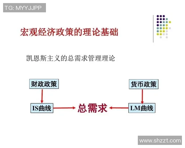 足球明星收入的多元化构成分析及其背后的经济因素探讨